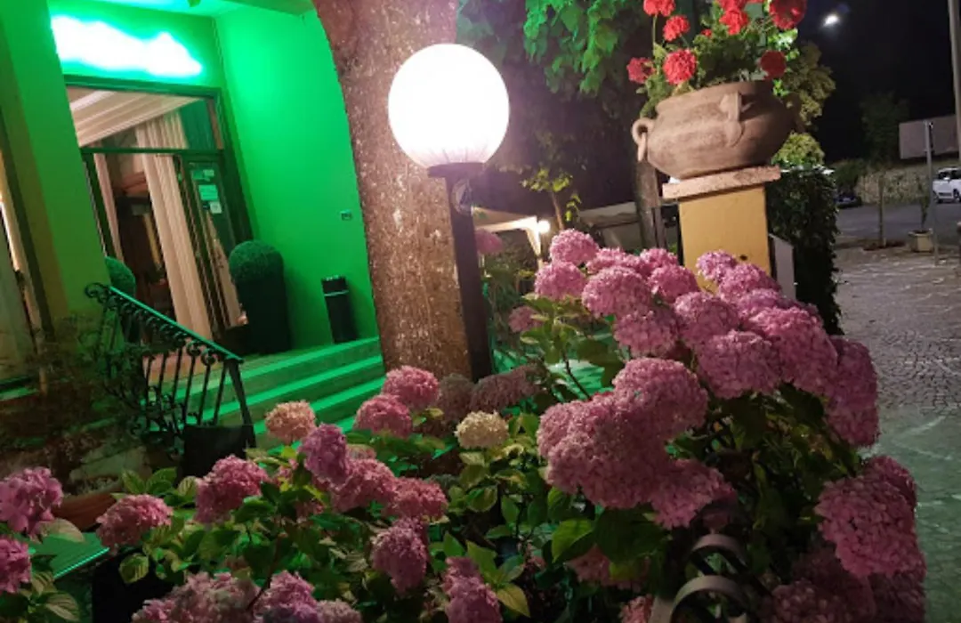 Hotel Delle Ortensie-1